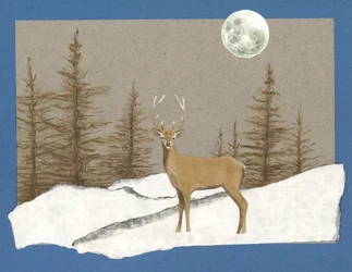 Night Encounter, 2012