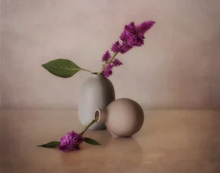Serene Floral Vases