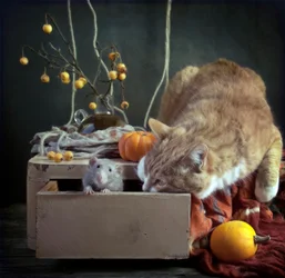 Curious Autumn Critters