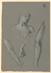 Details of Figure Studies