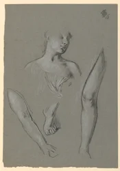 (detail)