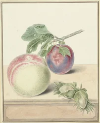 Peach, a Plum with Leaf, and a Few Nuts