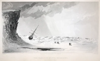 The Pack off Sylvia Headland, illustration from 