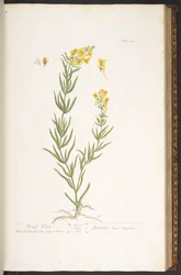 Plate 115, from 