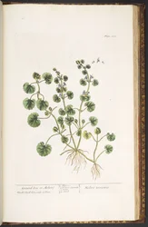 Plate 225, from 