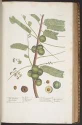 Plate 400, from 