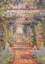 Pergola covered with Blue Ipomoea Learii de Grendel, Tygerberg
