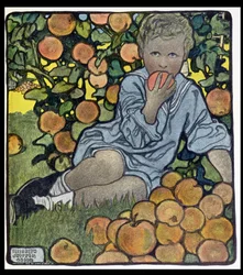 The Orchard
