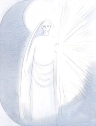 Our Lady appeared before me, in her dazzling Heavenly beauty