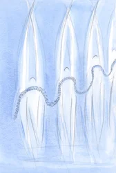 So many Angels are present in our sanctuary, in festivity, preparing it with garlands for our Blessed Lady