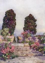 Botanical Gardens, Orotava