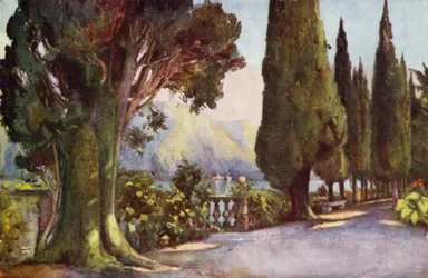Cypress Avenue, Villa del Pizzo, Lake Como