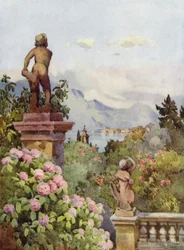 Hydrangeas, Isola Bella, Lake Maggiore