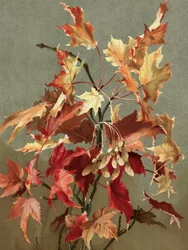 Autumn Leaves, No. 2 (maple)