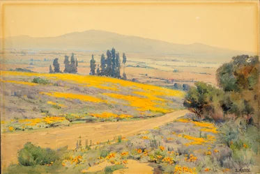 California Spring Landscape