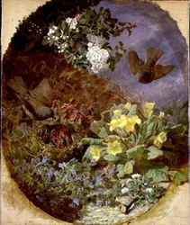 Wrens Feeding Their Young in a Nest