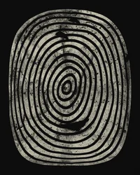 Concentric Grunge Rings