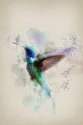 Vibrant Watercolor Hummingbird