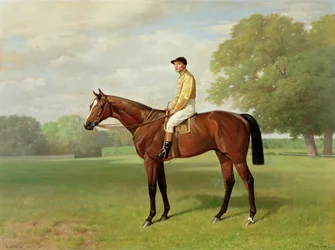 Flying Fox, Winner of the 1899 Derby