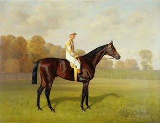 Ladas, Winner of the 1894 Derby