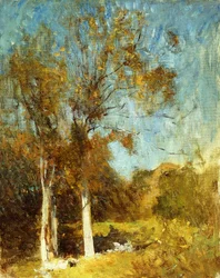 Autumn Trees