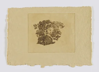 Tree Study (from portfolio)