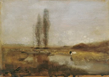 Moorland near Lundenburg