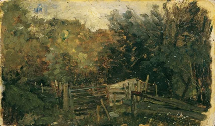 Nature Study from Goisern