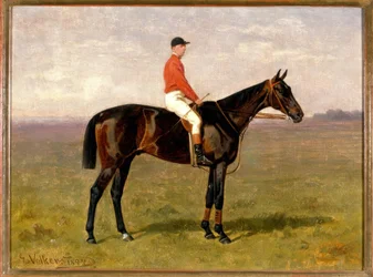 Horse and Rider