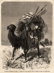 A Mongolian emigrant camel, carrying provisions, various utensils, carpets, blankets and wood of the tent frame, as well as young children in hanging baskets. Drawing by Emile Bayard, to illustrate the journey of Shanghai to Moscow, from 1859 to 1862, publ