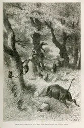 Rout of the Expedition in Front of the Charge of a Buffalo, Drawing by Emile Bayard, to Illustrate the Story: Across Africa, from Zanzibar (Tanzania) to Benguela (Angola), from 1872 to 1876, by Lieutenant V.H.Cameron. Engraving in 