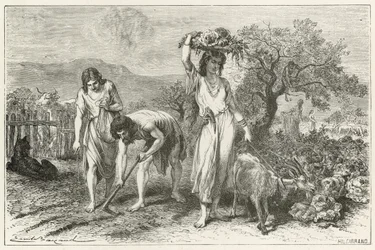 The Culture of Gardens in the Bronze Age