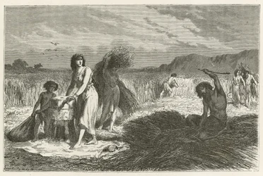 Agriculture in the Iron Age