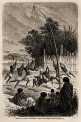 The swing of New Zealand warriors in the Isthmus of Auckland (Drawing by Emile Bayard)