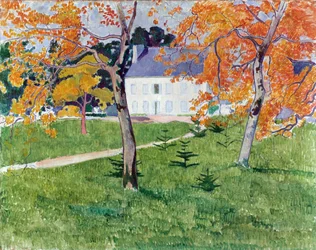 House Among the Trees