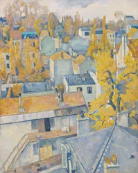 Rooftop View