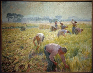 La collolte du linen