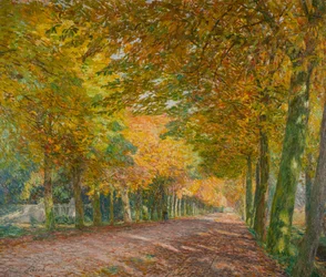 Sunny avenue