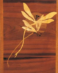 Dragonflies (detail)