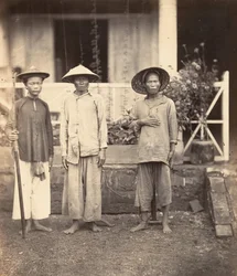 Prisoners Led by a Mata, Cochinchina, 1866