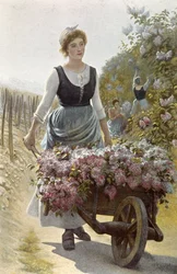 The Harvest of Flowers