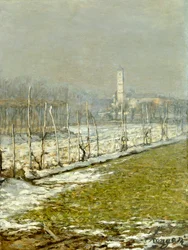 Landscape. Winter Sun