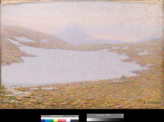Spring in high mountains (detail)