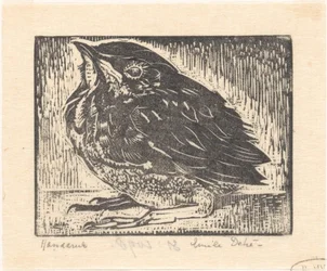 Young Bird