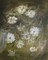 Soft White Blossoms