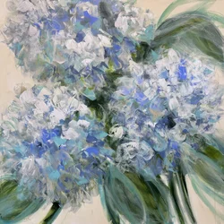 Blue Hydrangea Blooms