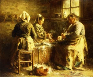 Defeathering Chickens - Late Morning Summer in Brittany