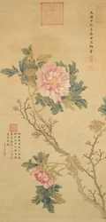 Peony, Qing Dynasty