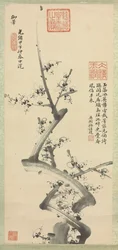 Plum Blossoms