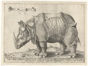 Rhinocerus